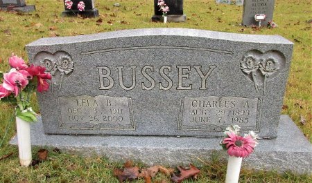 BUSSEY, CHARLES A - Braxton County, West Virginia | CHARLES A BUSSEY - West Virginia Gravestone Photos