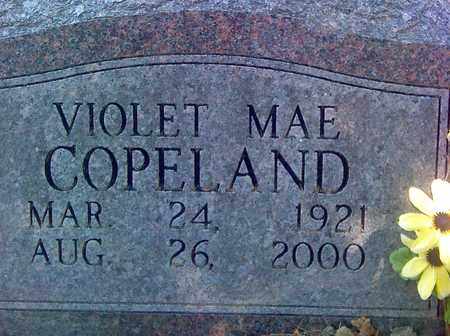 COPELAND, VIOLET MAE - Fayette County, West Virginia | VIOLET MAE COPELAND - West Virginia Gravestone Photos