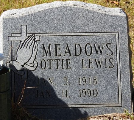 MEADOWS, OTTIE LEWIS - Raleigh County, West Virginia | OTTIE LEWIS MEADOWS - West Virginia Gravestone Photos