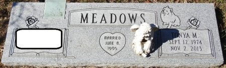 MEADOWS, TONYA MICHELLE - Raleigh County, West Virginia | TONYA MICHELLE MEADOWS - West Virginia Gravestone Photos