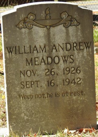 MEADOWS, WILLIAM ANDREW - Raleigh County, West Virginia | WILLIAM ANDREW MEADOWS - West Virginia Gravestone Photos