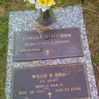 Willie R  (NEW) BIRD (VETERAN WWII)